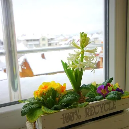 Penthouse Suites Gold * Sofia